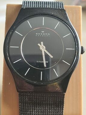 Skagen Denmark Titanium Black Stainless Steel Mesh Women's Watch